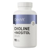 Choline + Inositol 90 Tablete OstroVit